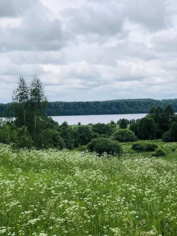 Участок в Костромская область, Костромской район, Минское с/пос, д. ... - Фото 1