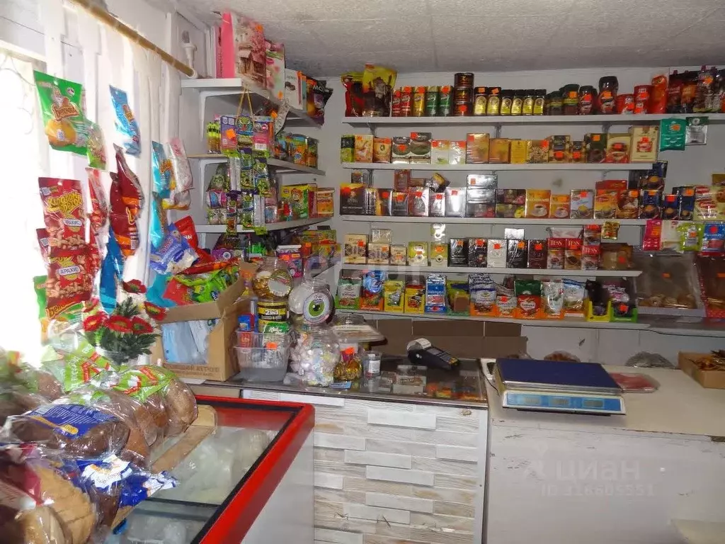 Торговая площадь в Башкортостан, Кармаскалинский район, с. Прибельский ... - Фото 1