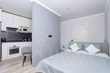 1-к кв. Татарстан, Казань ул. Рауиса Гареева, 109 (29.0 м) - Фото 1