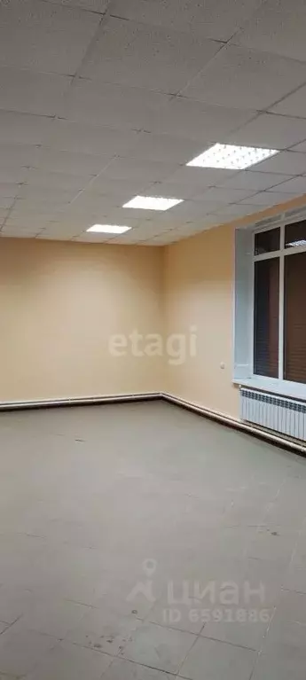 Офис в Тульская область, Ефремов ул. Менделеева, 10к3 (60 м) - Фото 1