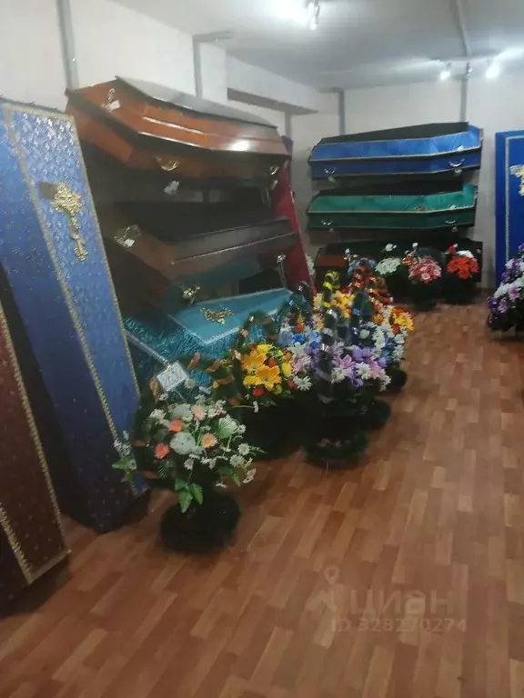 Помещение свободного назначения в Рязанская область, Касимов ул. ... - Фото 1