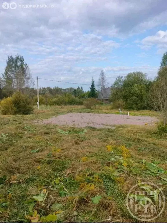 Участок в Лужский район, Заклинское сельское поселение, деревня ... - Фото 0