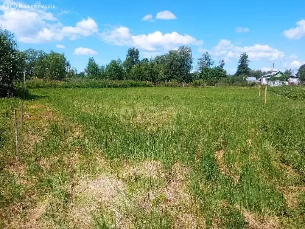 Участок в Ярославская область, Некрасовский муниципальный округ, село ... - Фото 2