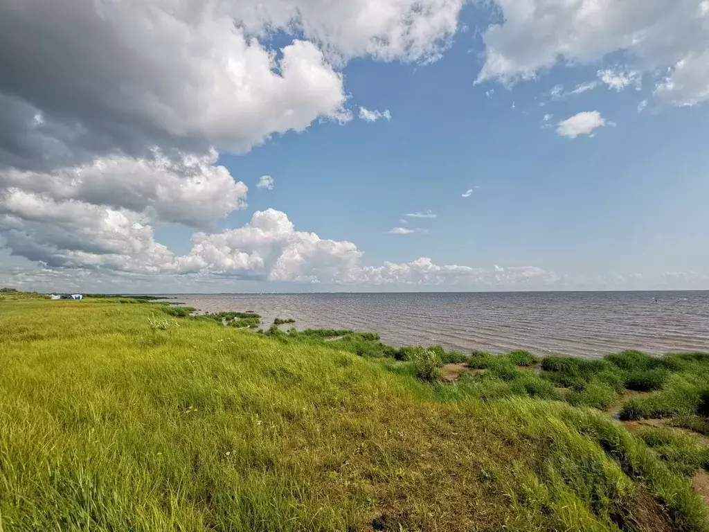 Участок в Новгородская область, Новгородский район, Борковское с/пос, ... - Фото 2