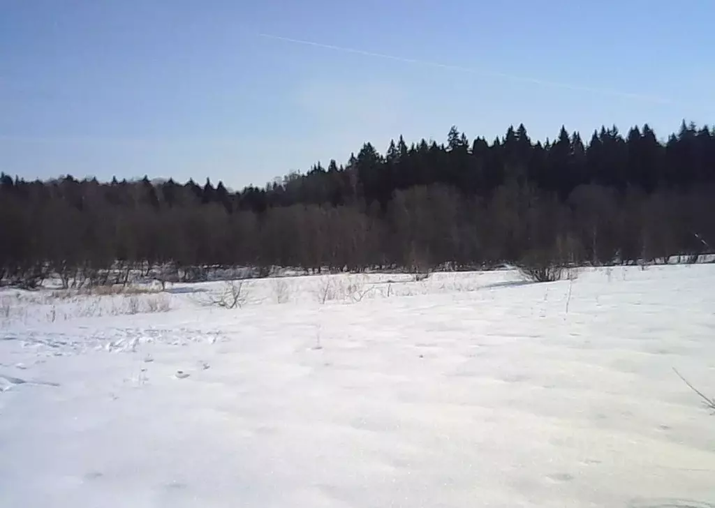 Участок в Московская область, Шаховская муниципальный округ, д. ... - Фото 1