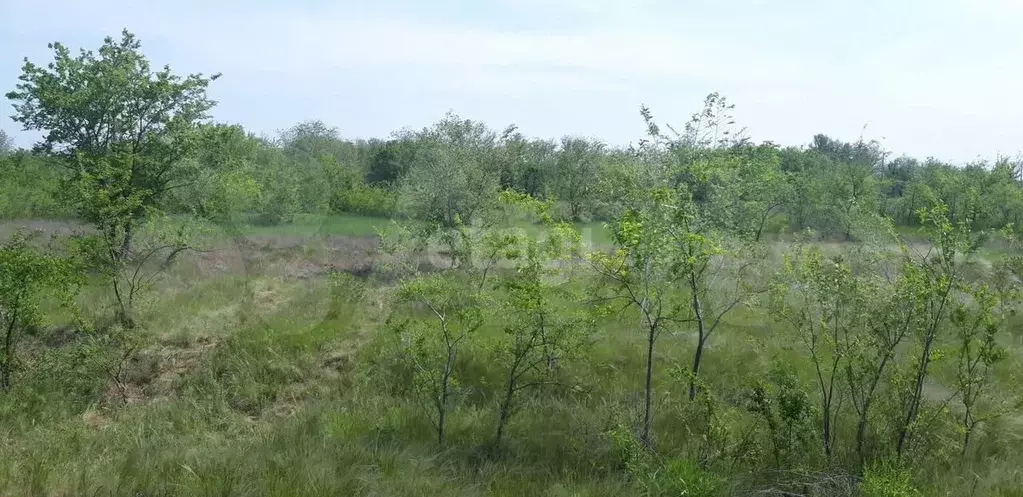Участок 15 сот. (ИЖС) - Фото 1