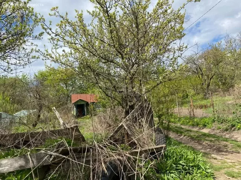 Участок в Брянск, садоводческое общество Рассвет-2 (6 м) - Фото 0