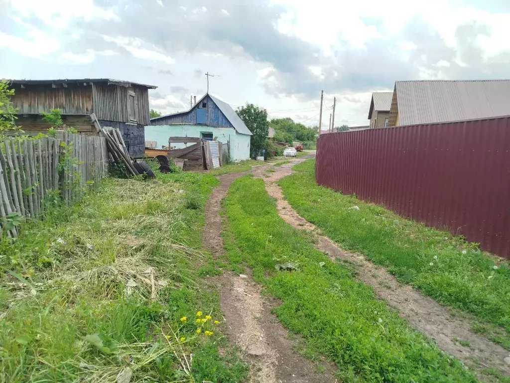 Участок в Алтайский край, Первомайский район, с. Березовка Тихая ул. ... - Фото 2