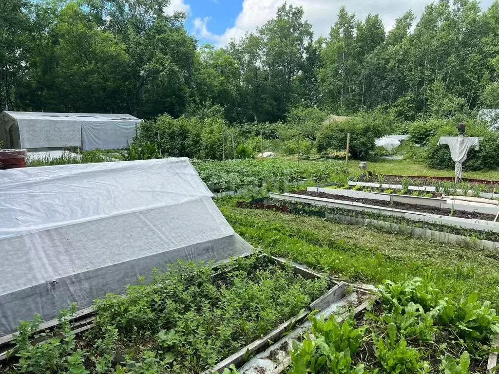 Дом в Сахалинская область, Южно-Сахалинск Росинка СНТ,  (20 м) - Фото 1