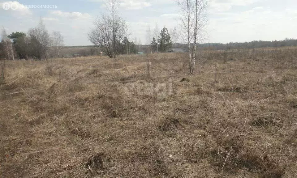 Участок в Орловский муниципальный округ, село Альшань (42 м) - Фото 1