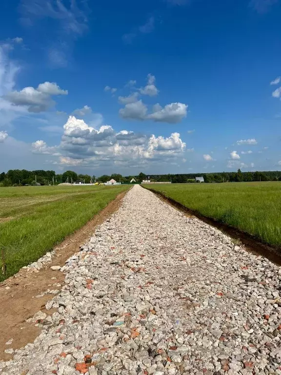 Участок в Московская область, Раменский городской округ, Давыдово дп  ... - Фото 1