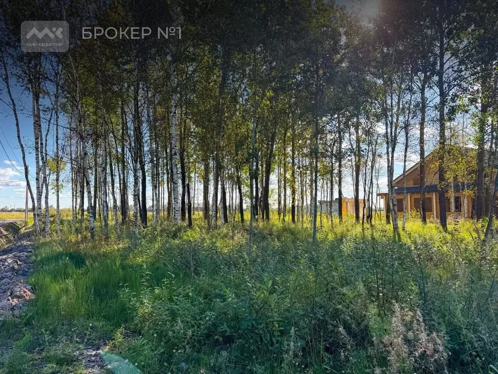 Участок в Санкт-Петербург, Санкт-Петербург, Павловск Березовая ул. ... - Фото 2