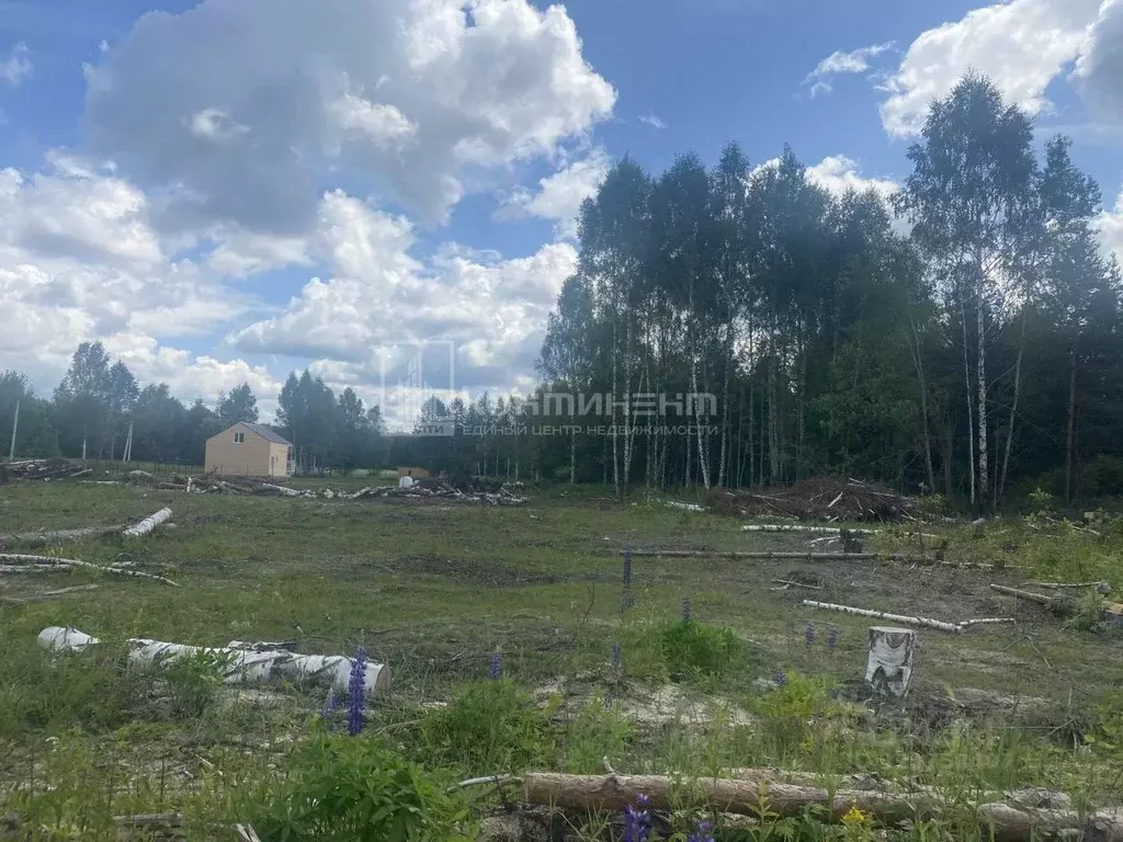 Участок в Владимирская область, Ковровский район, Новосельское с/пос, ... - Фото 1