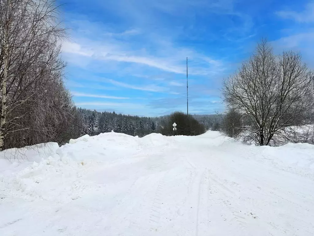 Участок в Московская область, Дмитровский муниципальный округ, ... - Фото 1