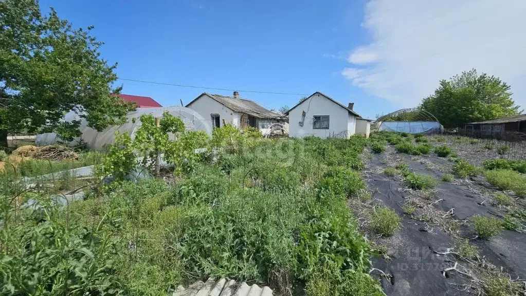 Дом в Крым, Советский район, Чапаевское с/пос, с. Новый Мир ул. ... - Фото 0