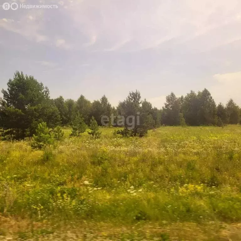 Участок в округ Муром, деревня Коржавино (14.47 м) - Фото 1