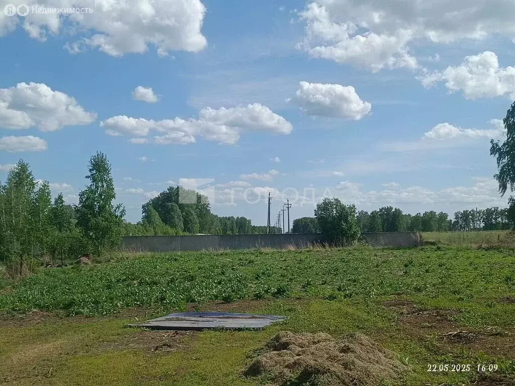 Участок в село Вагайцево, улица Космонавтов, 87 (10 м) - Фото 0