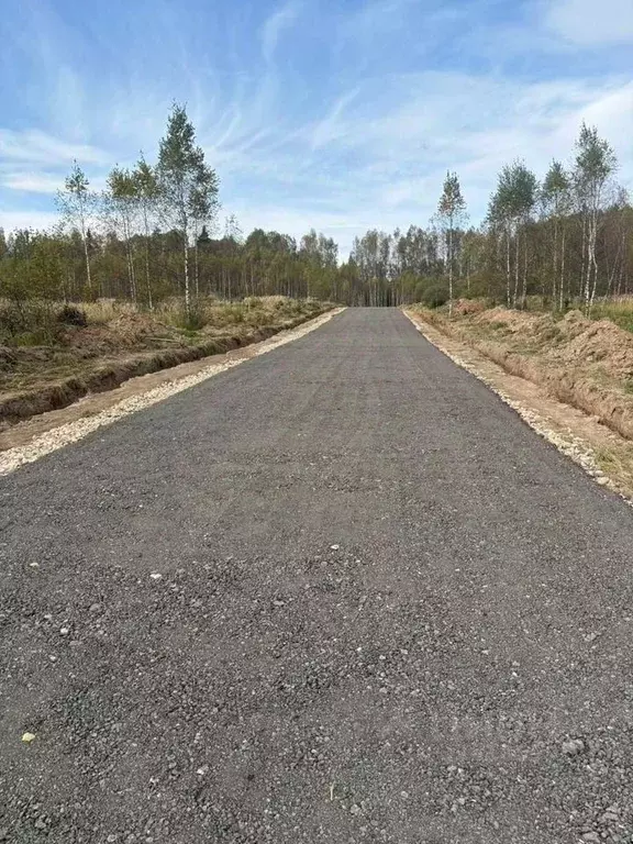 Участок в Московская область, Можайский муниципальный округ, Лесной кп ... - Фото 1