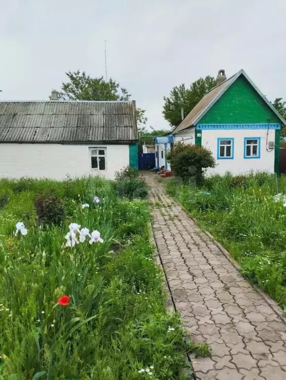 Дом в Калмыкия, Городовиковский район, с. Чапаевское  (38 м) - Фото 1