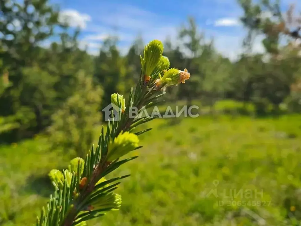 Участок в Удмуртия, Завьяловский район, д. Сизево ул. Веселая (8.0 ... - Фото 0