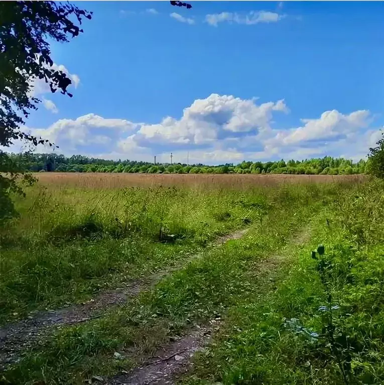 Участок в Московская область, Рузский муниципальный округ  (6.0 сот.) - Фото 1