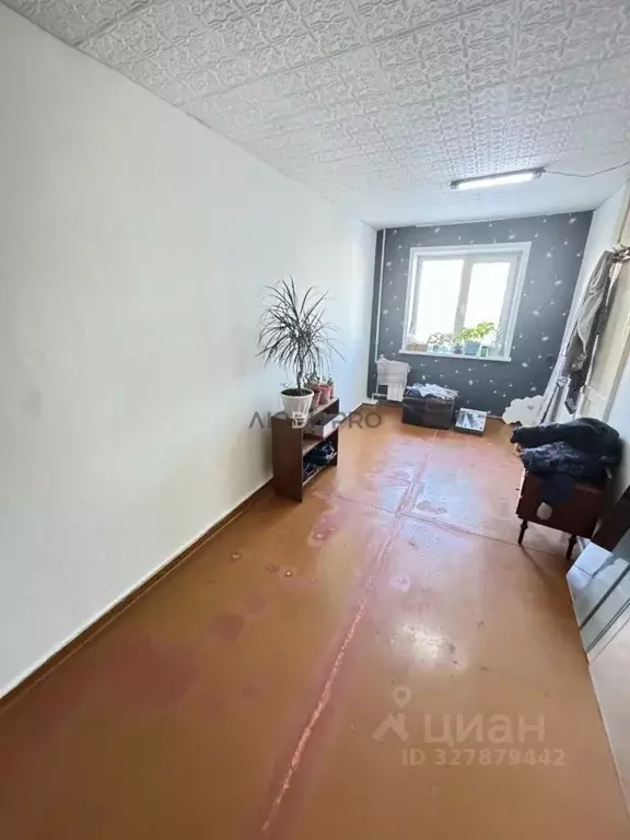 2-к кв. Алтайский край, Барнаул ул. Глушкова, 31 (45.5 м) - Фото 1