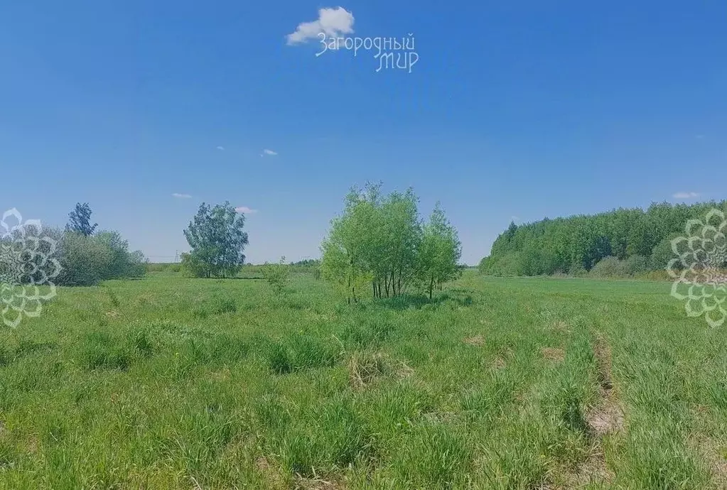 Участок в Московская область, Богородский городской округ, д. Старые ... - Фото 1