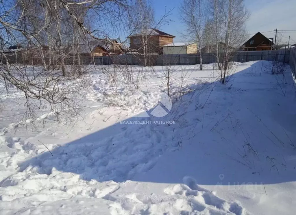 Участок в Новосибирская область, Новосибирский район, Криводановский ... - Фото 1