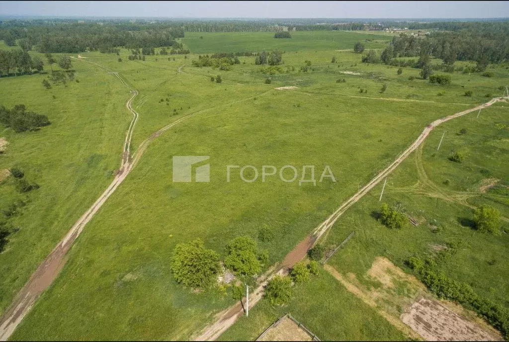 Участок в Алтайский край, Первомайский район, с. Фирсово Палитра жилой ... - Фото 0