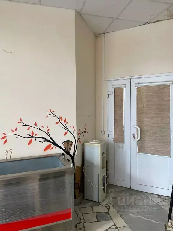 Помещение свободного назначения в Московская область, Электросталь ул. ... - Фото 1