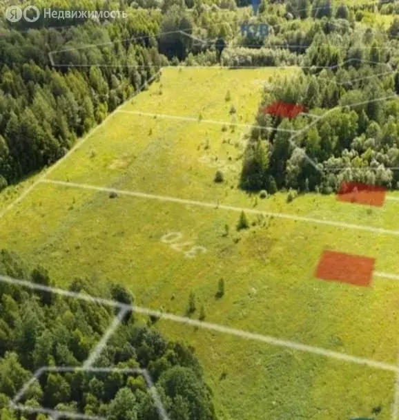 Участок в деревня Рютино, Школьный переулок (10000 м) - Фото 2