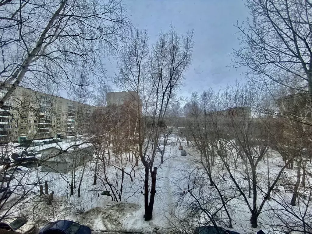 3-к кв. Алтайский край, Барнаул ул. Попова, 76 (59.8 м) - Фото 1