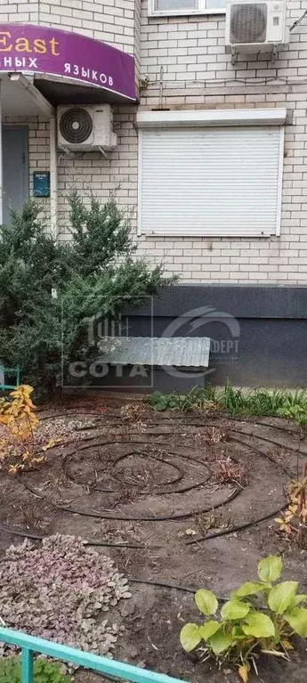Помещение свободного назначения в Воронежская область, Воронеж ул. ... - Фото 1