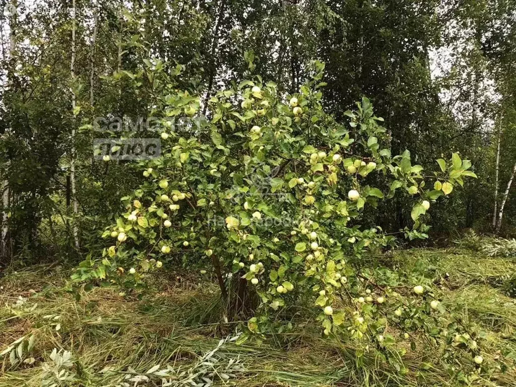 Участок в Московская область, городской округ Ступино, деревня ... - Фото 0