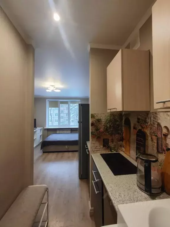 Студия Москва Минусинская ул., 11 (17.1 м) - Фото 2