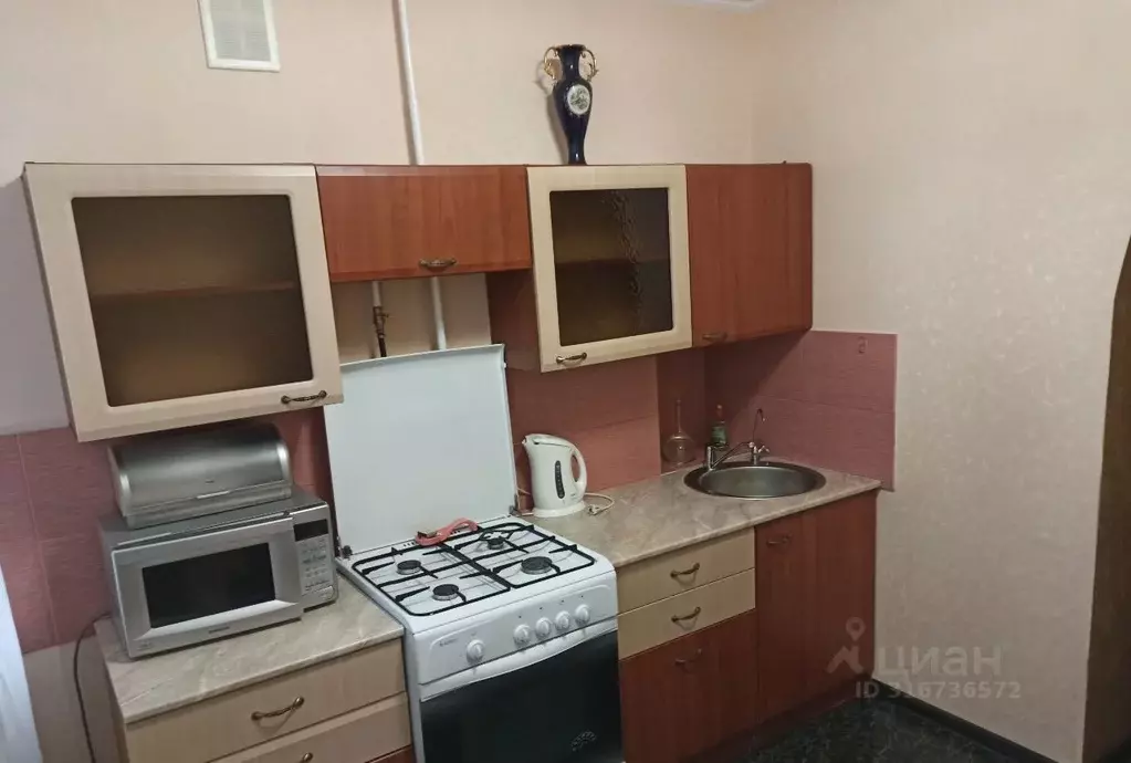 1-к кв. Нижегородская область, Нижний Новгород Мещерское Озеро ... - Фото 1