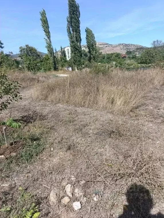 Участок в Крым, Феодосия муниципальный округ, Щебетовка пгт  (3.4 ... - Фото 1