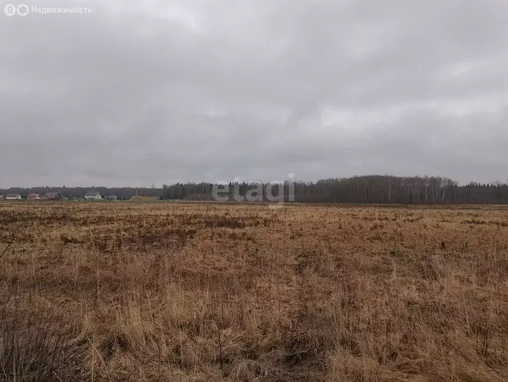 Участок в Московская область, городской округ Серпухов, территория ... - Фото 1