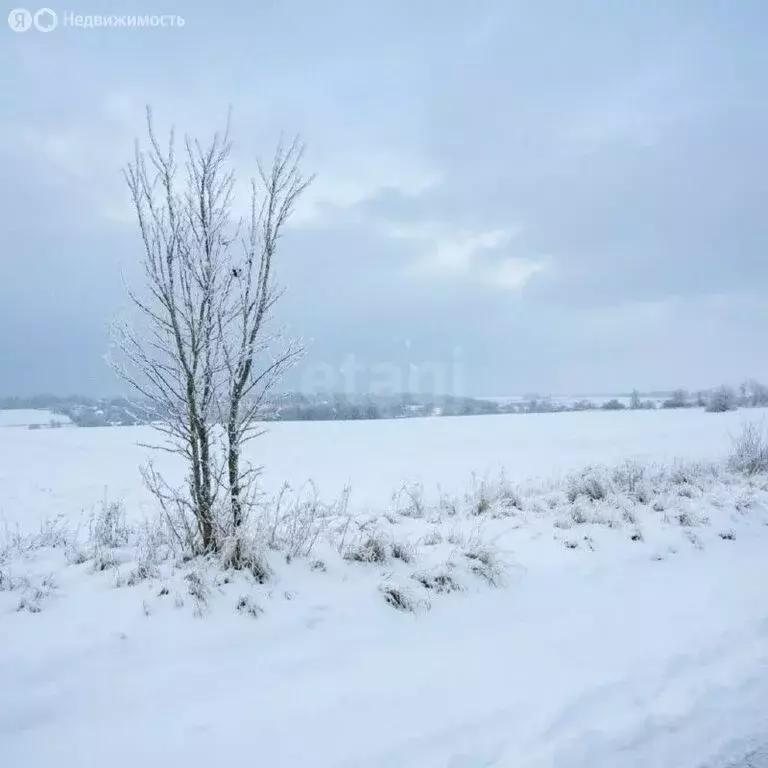 Участок в Щёкинский район, сельское поселение Яснополянское, село ... - Фото 1