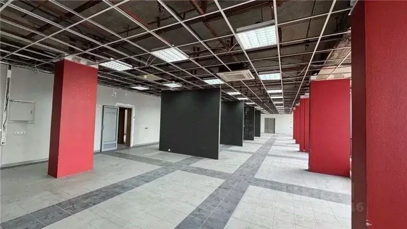 Помещение свободного назначения в Москва ш. Энтузиастов, 38 (271 м) - Фото 2