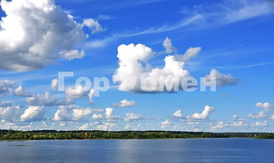 Участок в Московская область, Можайский муниципальный округ, дачное ... - Фото 2