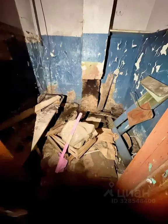 Помещение свободного назначения в Псковская область, Остров ул. 25 ... - Фото 2