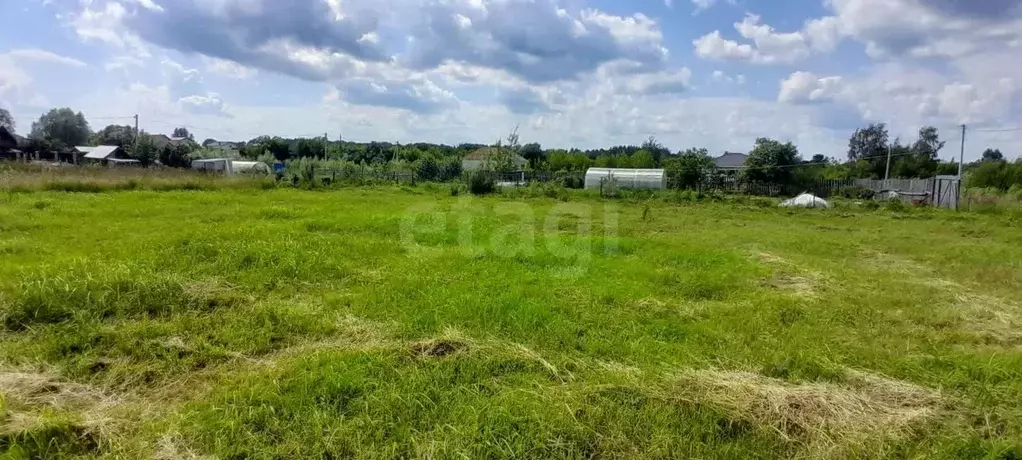 Участок в Нижегородская область, Выкса городской округ, Шиморское рп ... - Фото 2