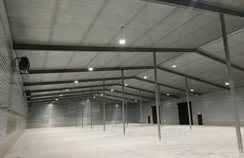 Склад в Ленинградская область, Тельмана Тосненский район, ул. ... - Фото 2