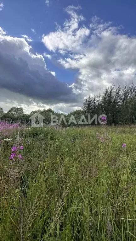 Участок в Владимирская область, Собинский муниципальный округ, д. ... - Фото 1