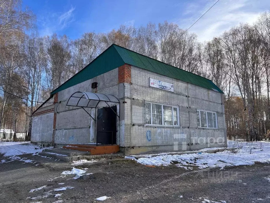 Торговая площадь в Челябинская область, Аргаяшский район, ... - Фото 0