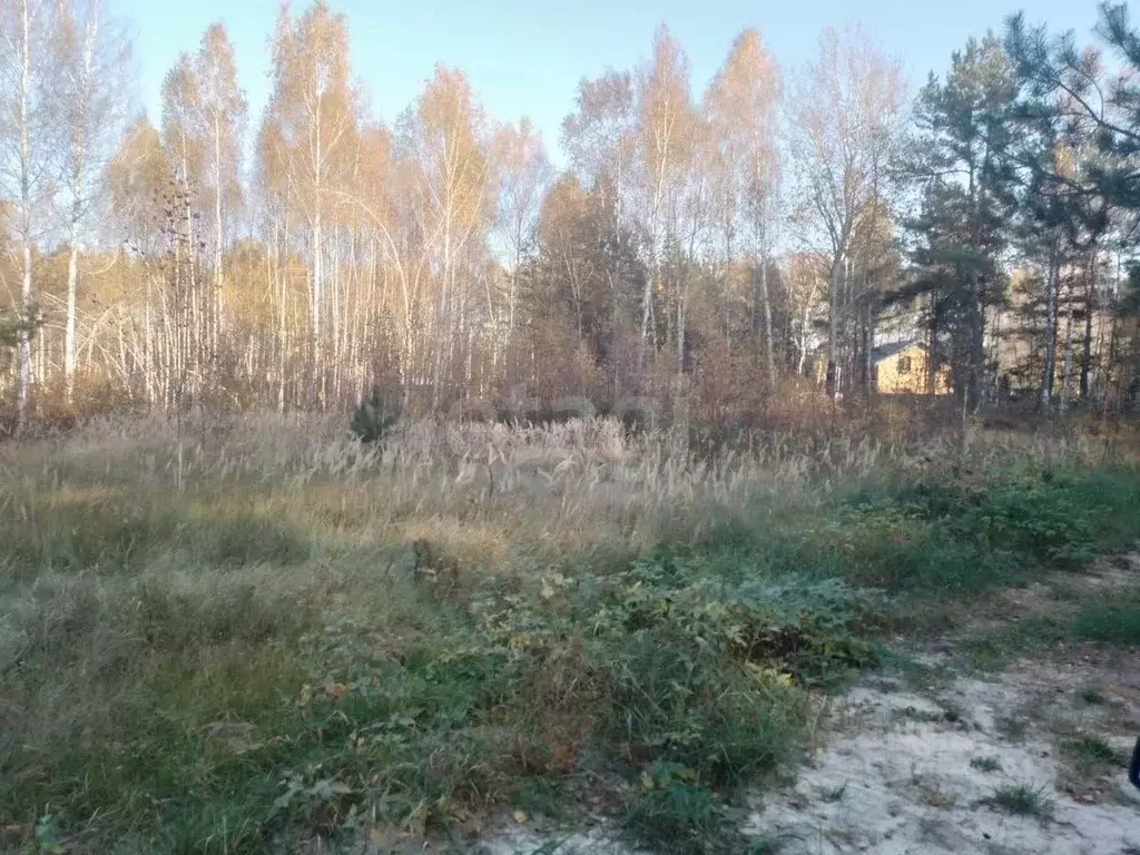 Участок в Нижегородская область, Нижний Новгород пос. Березовая Пойма, ... - Фото 1