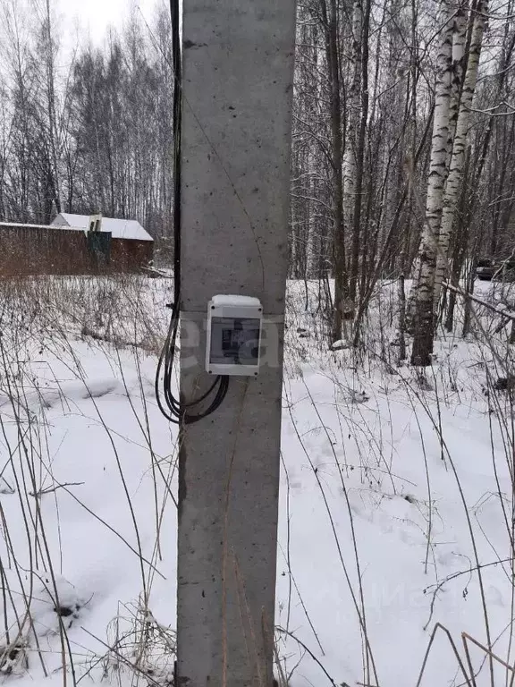 Участок в Костромская область, Красносельский район, Сидоровское ... - Фото 1