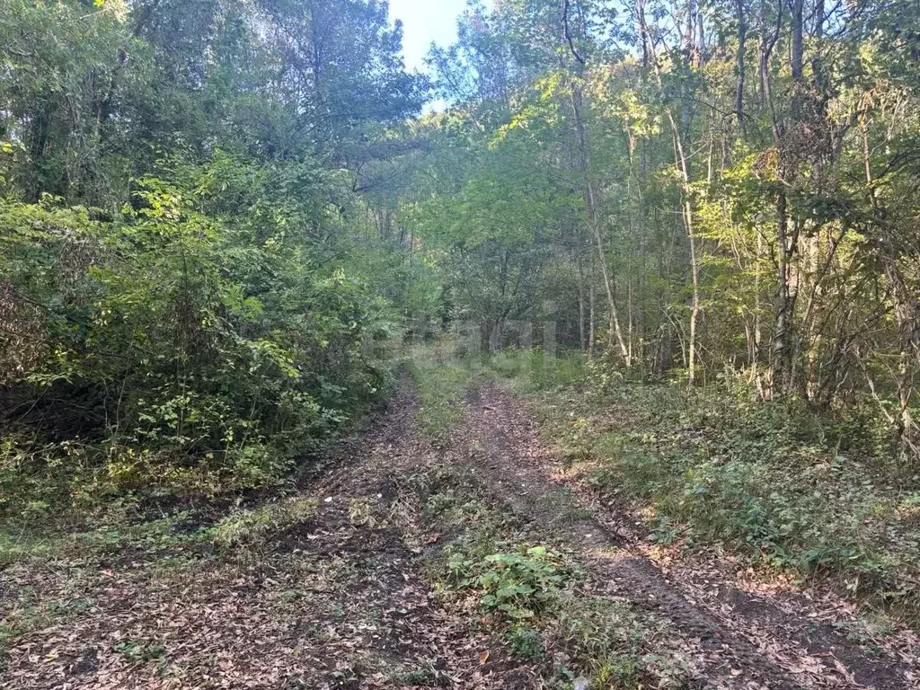 Участок в Краснодарский край, Геленджик  (6.0 сот.) - Фото 0