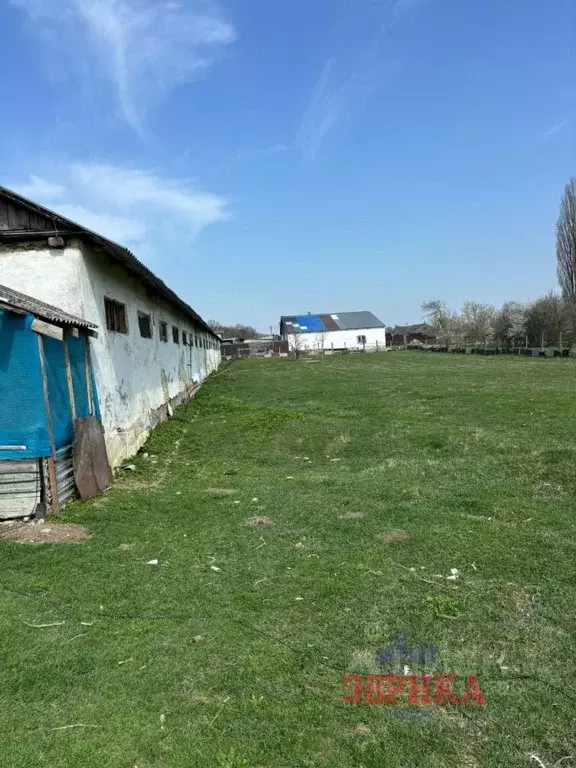 Участок в Краснодарский край, Крымский район, Пригородное с/пос, ... - Фото 0
